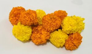 Marigold