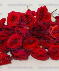 Button roses – 100 grams