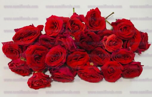 Button roses – 100 grams