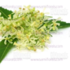 Neem Flowers - Small Pack